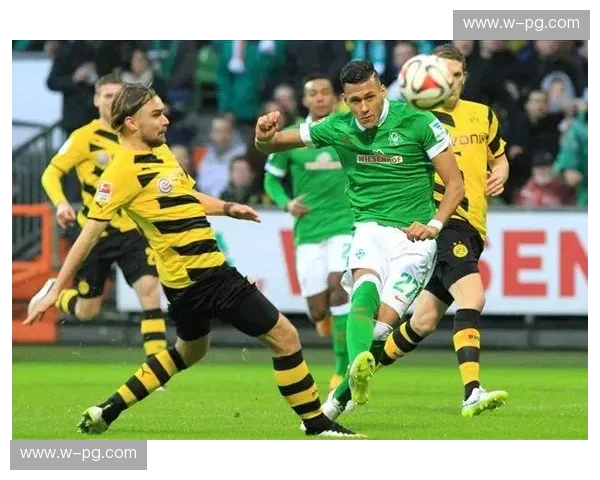 开云体育数据解说：精准分析，让你畅享体育赛事